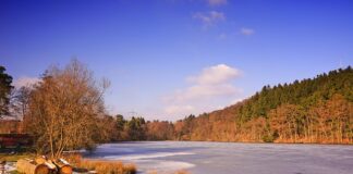 Jak uniknąć zamarzania szyb?