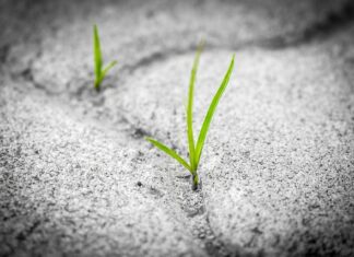 Czy ząb na włóknie szklanym trwałość?