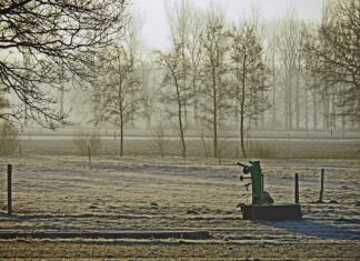 Czego wypożyczalnie otworzyć? Czego wypożyczalnie otworzyć?