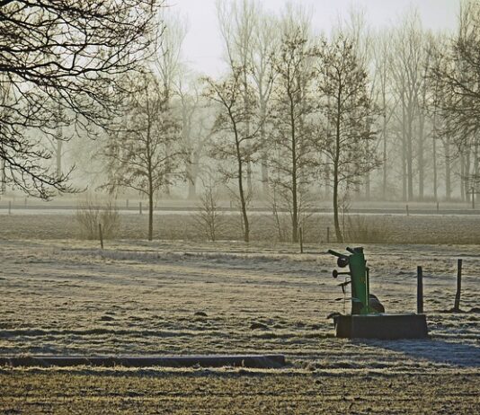 Czego wypożyczalnie otworzyć? Czego wypożyczalnie otworzyć?