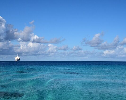 Ile kosztuje markiza?