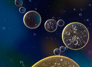 Ile oleju Daihatsu Sirion? Ile oleju Daihatsu Sirion?