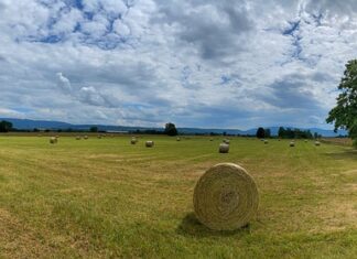 Jaką ściernica do ostrzenia wierteł?