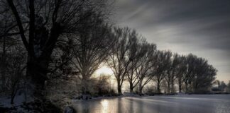 Jaki nawiew na zamarznięte szyby?