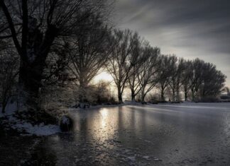 Jaki nawiew na zamarznięte szyby?