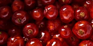 Czym najlepiej wygłuszyć nadkola?