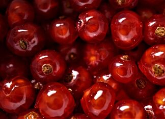 Czym najlepiej wygłuszyć nadkola?