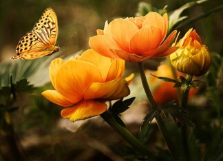 Jaka szczotka do mycia opon?