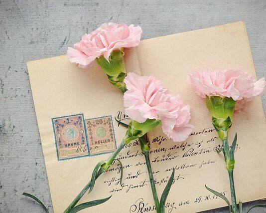 Jakie auto ma znaczek V?