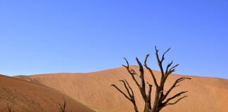 Czy warto robić Ceramike na auto?