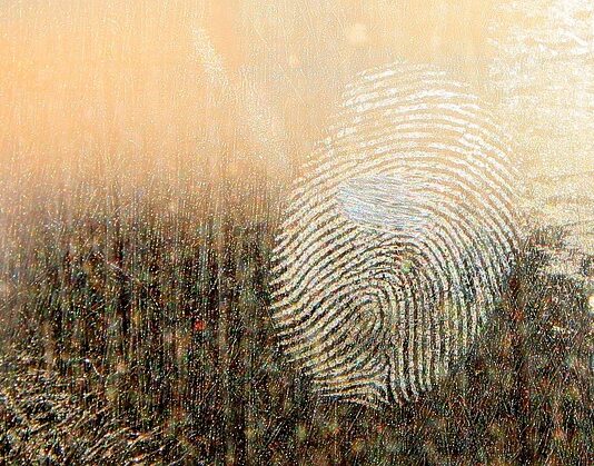 Jaki smar do łożysk w kołach?