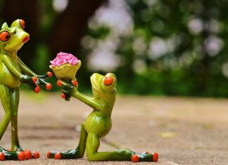 Jakie OC za przyczepę kempingową?