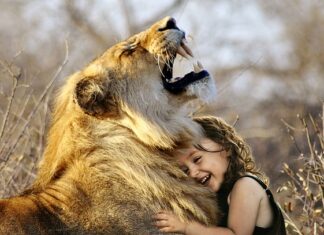 Jaka marka koparek najlepsza?