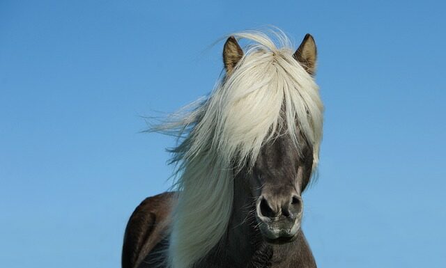 Ile koni ma M2 Nitro?