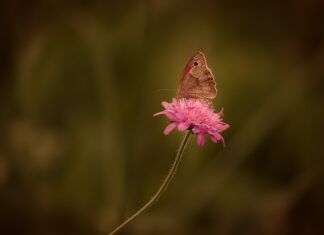 Jak samemu usunąć rdzę z karoserii?