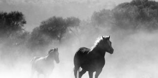 Jaka maska chroni przed pyłem radioaktywnym?