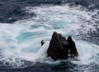 Jaka jest cena katalizatora?