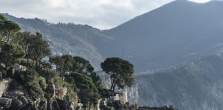 Ile kosztuje 100 g czynnika chłodzącego?