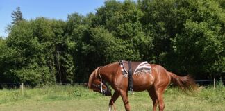 Jak montować maty wygłuszające w samochodzie?