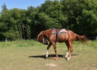 Jak montować maty wygłuszające w samochodzie?