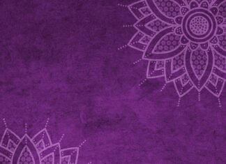 Ile wynosi mandat za brak kamizelki? Ile wynosi mandat za brak kamizelki?