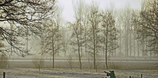 Jak otworzyć wypożyczalnię sprzętu?