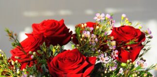 Ile kosztuje najdroższy John Deere?