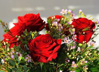 Ile kosztuje najdroższy John Deere?