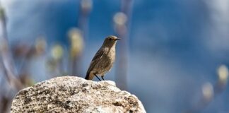 Jak pozbyć się pleśni z namiotu?