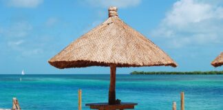 Ile kosztuje wymiana uszczelniaczy lag w motocyklu?