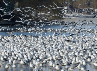 Co to jest stały napęd 4X4?