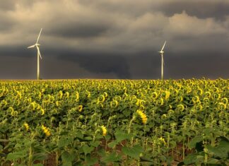 W jakiej kolejności przygotować się do jazdy?